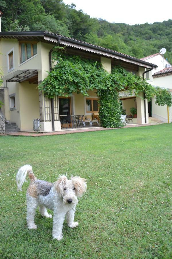 B&B Ca' Dell'Ortolan Villaga エクステリア 写真